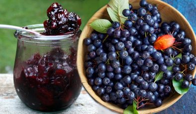 Aronya meyvesi Türkiye’de nerede yetişir? Aronya meyvesi faydaları nelerdir, kilosu ne kadar?