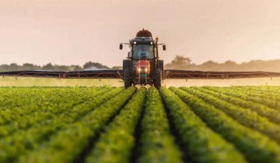 Bakan Yumaklı açıkladı: Tarımda üretim planlaması gelecek yıl hayata geçirilecek