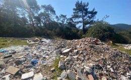 Çevreyi kirletenlere 2024’te verilecek cezalar belli oldu