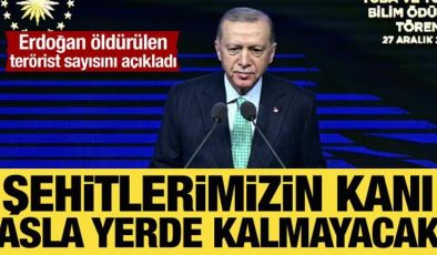 Cumhurbaşkanı Erdoğan: Şehitlerimizin kanı asla yerde kalmayacak!