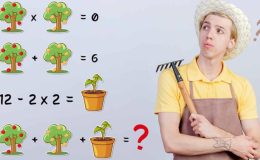 Zihninizi uyandıracak matematik denklem bulmacası: Tüm nesnelerin sayısal değerlerini belirleyin ve denklemin çözümüne 10 saniyeden önce ulaşın!