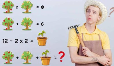 Zihninizi uyandıracak matematik denklem bulmacası: Tüm nesnelerin sayısal değerlerini belirleyin ve denklemin çözümüne 10 saniyeden önce ulaşın!