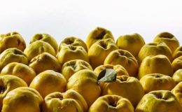 Ayvanın faydaları nelerdir? Sabah aç karnına ayva yemek…