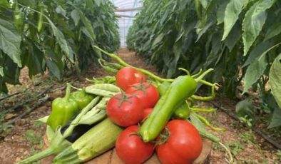 “Çalıştıracak eleman bulamıyoruz” diyerek isyan etti: Günlük yevmiyesi 750 lira