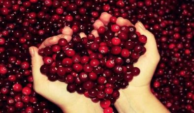 Kızılcık faydaları nelerdir: Kızılcık suyu ve kurutulmuş kızılcık faydaları!