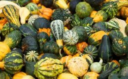 Yeşil kabağın faydaları nelerdir? Kabak yemenin 10 altın faydası!