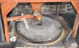 154 yıllık değirmende “Dergul” tahini üretiliyor