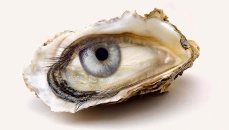 2024 yılında şans sizinle mi olacak? İlk gördüğünüz şey bu senenin gidişatını gösterecek!