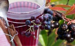 Aronya meyvesi Türkiye’de nerede yetişir? Aronya meyvesi faydaları nelerdir, nasıl tüketilmeli?