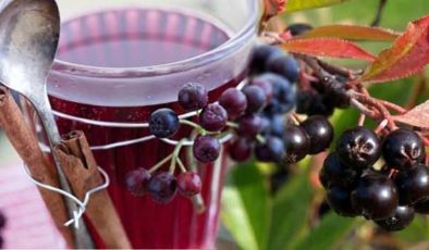 Aronya meyvesi Türkiye’de nerede yetişir? Aronya meyvesi faydaları nelerdir, nasıl tüketilmeli?