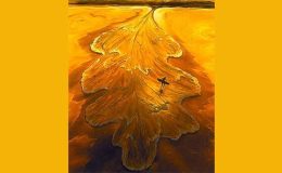 Kişilik testi: Sorunları çözme yönteminiz nedir? Sorunlarınızı mantıkla mı yoksa içgüdüsel olarak mı çözüyorsunuz?