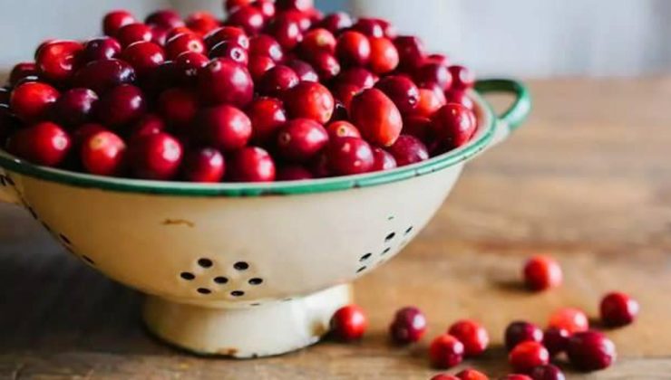 Kızılcığın faydaları nelerdir, kızılcık suyu idrar yolu enfeksiyonuna iyi gelir mi? Kızılcık hangi hastalıklara iyi gelir?