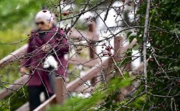 Son 53 yılın en sıcak ocak ayı yaşandı