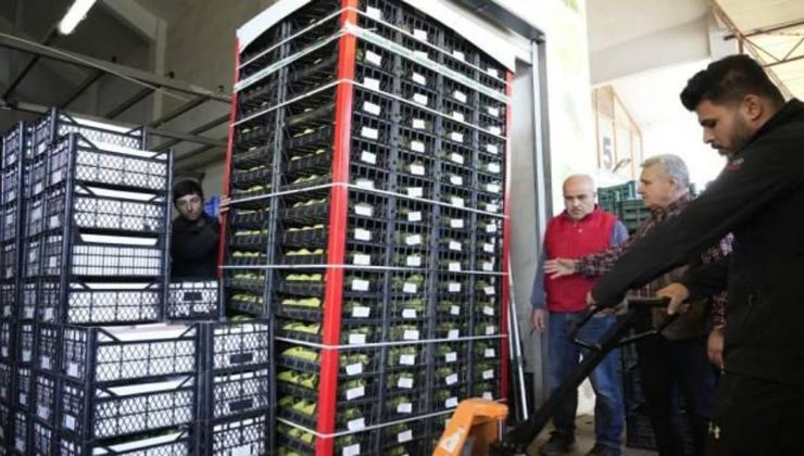 Türkiye’de üretiliyor Rusya’da kilosu yaklaşık 154 TL’den satılıyor