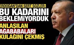 Erdoğan sert sözler: Bu kadarını beklemiyorduk, anlaşılan ağababaları kulağını çekmiş!