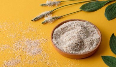 Karnıyarık otu tohumu nasıl kullanılır? Karnıyarık otu tohumu (Psyllium) faydaları!