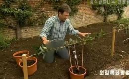 Kuzey Kore televizyonu kot pantolonunu sansürledi