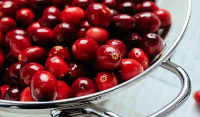 Kızılcık ve kızılcık suyunun faydaları nelerdir? Yabani ve kurutulmuş kızılcık…