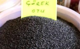 Sabahları aç karına çörek otu yemenin faydaları nelerdir? Gece yatmadan önce çörek otu yağı içmek…