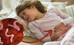 Yetişkinlerde kıl kurdu belirtileri: Kıl kurdu nasıl dökülür, en iyi kıl kurdu düşürme…