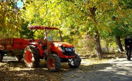 İşte Doğu’nun bitkisel üretim karnesi