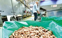 AB tescilli ürünlerde hedef markalaşma