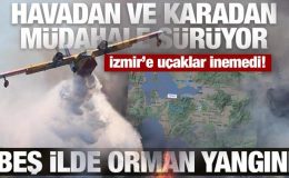 Beş ilde orman yangını: Bergama’dan acı haber, İzmir’e uçak seferleri aksadı