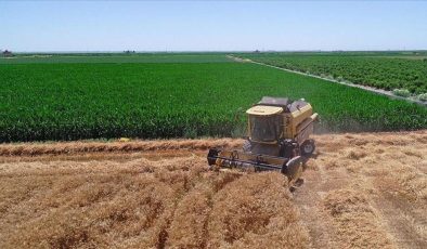 Gıda ve tarımsal tüketimde Güney Asya ve Hindistan’ın payı 10 yılda artış gösterecek