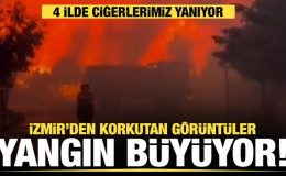 İzmir, Manisa, Balıkesir ve Kütahya’da orman yangını