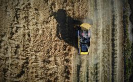 Konya’da buğday rekoltesinde düşüş