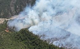 Orman yangınlarının yüzde 78’i sıcaklığın en yüksek olduğu saatlerde çıkıyor!