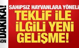 Sahipsiz hayvanlara yönelik düzenlemeler içeren kanun teklifi komisyonda kabul edildi