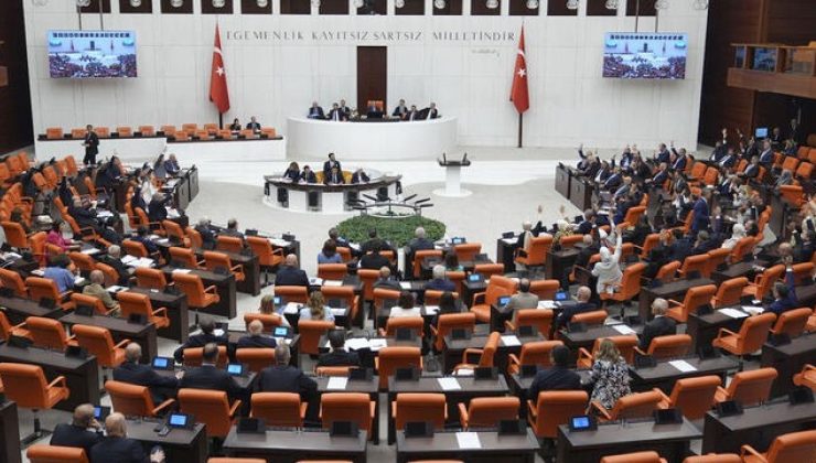 Sokak hayvanları düzenlemesinde ilk 5 madde TBMM Genel Kurulu’nda kabul edildi