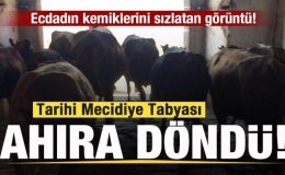 Tarihi Mecidiye Tabyası ahıra döndü! Ecdadın kemiklerini sızlatan görüntü!