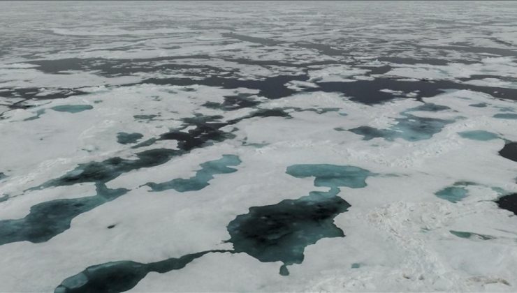 Türk bilim insanı ekibiyle Kuzey Kutup Bölgesi’nde tahrip olan arazileri onaracak