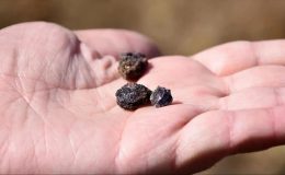 Türkiye’yi nadir toprak elementinde söz sahibi yapacak adım!