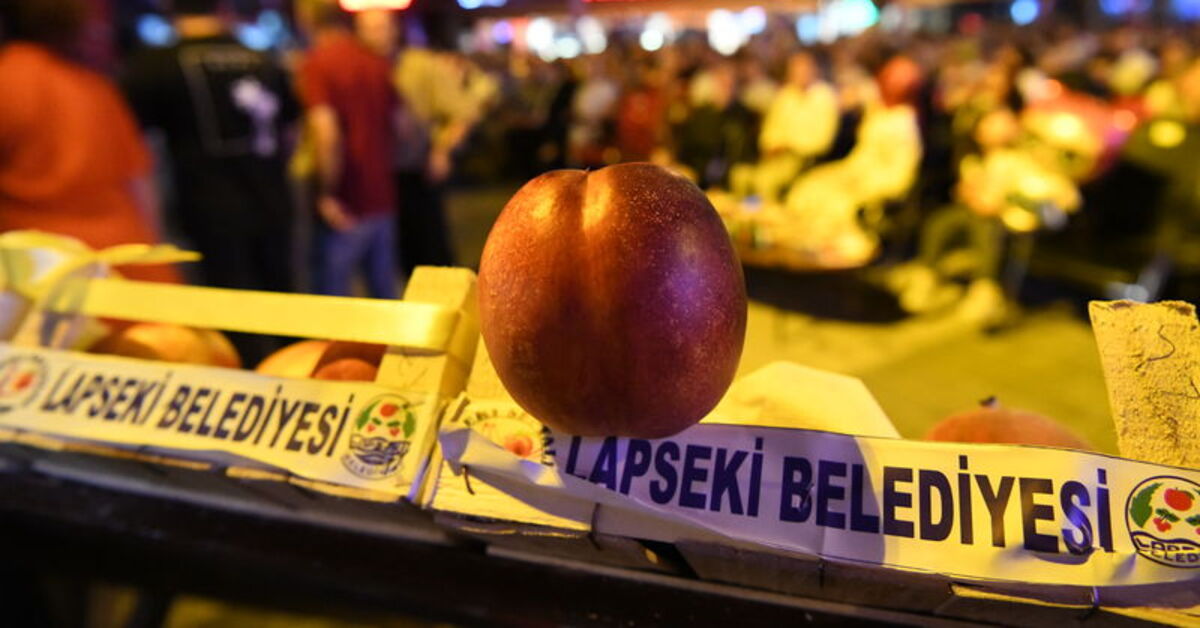 Lapseki’de şeftali ve nektarin şampiyonları belli oldu