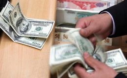 Son 20 yılda Türkiye UDY’lerden 262 milyar dolarlık pay aldı